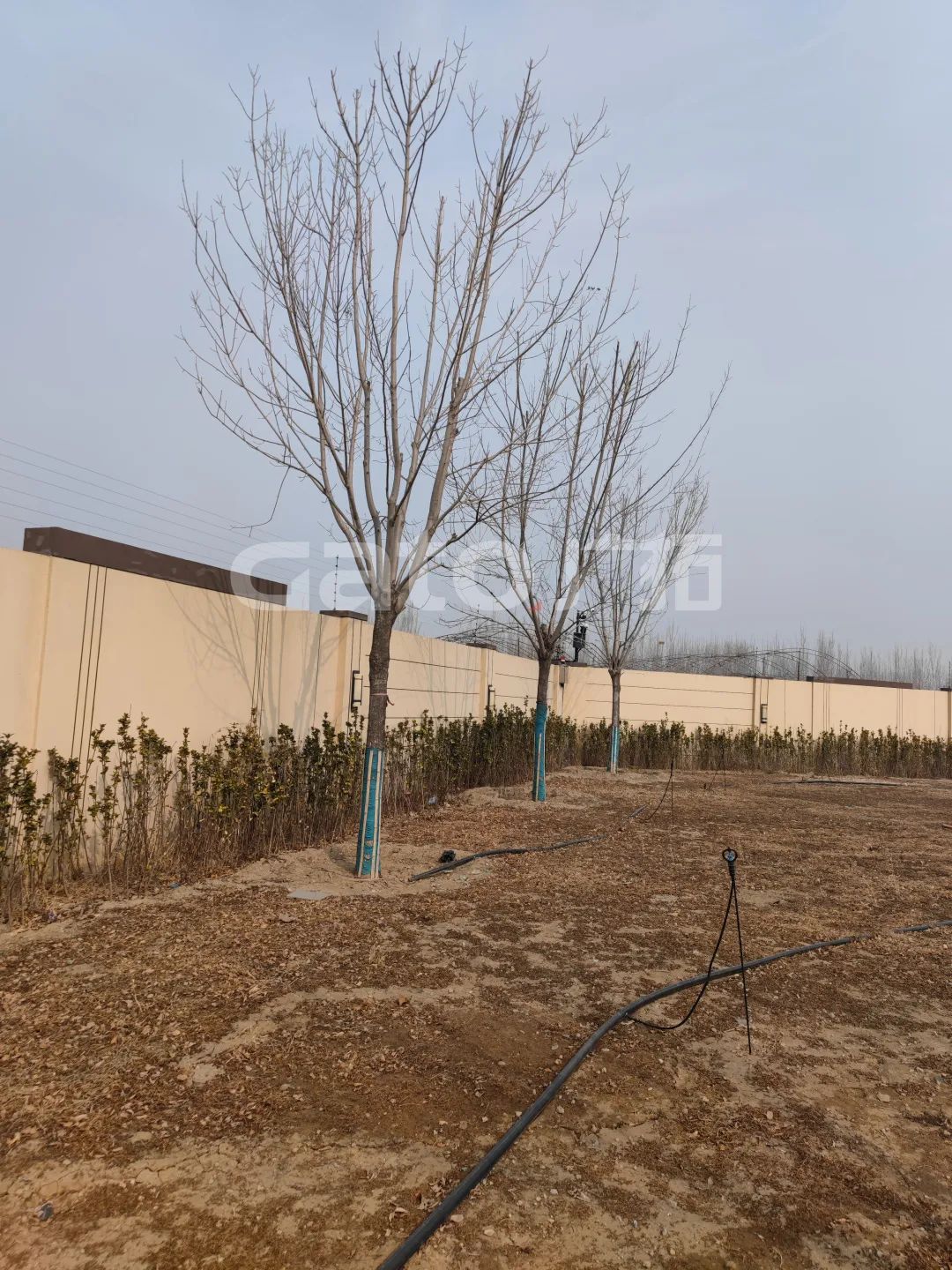 國(guó)家建筑節(jié)能技術(shù)國(guó)際創(chuàng)新園投產(chǎn)，廣拓G5s守護(hù)周界安全(圖8)